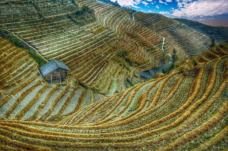 图片丢失啦